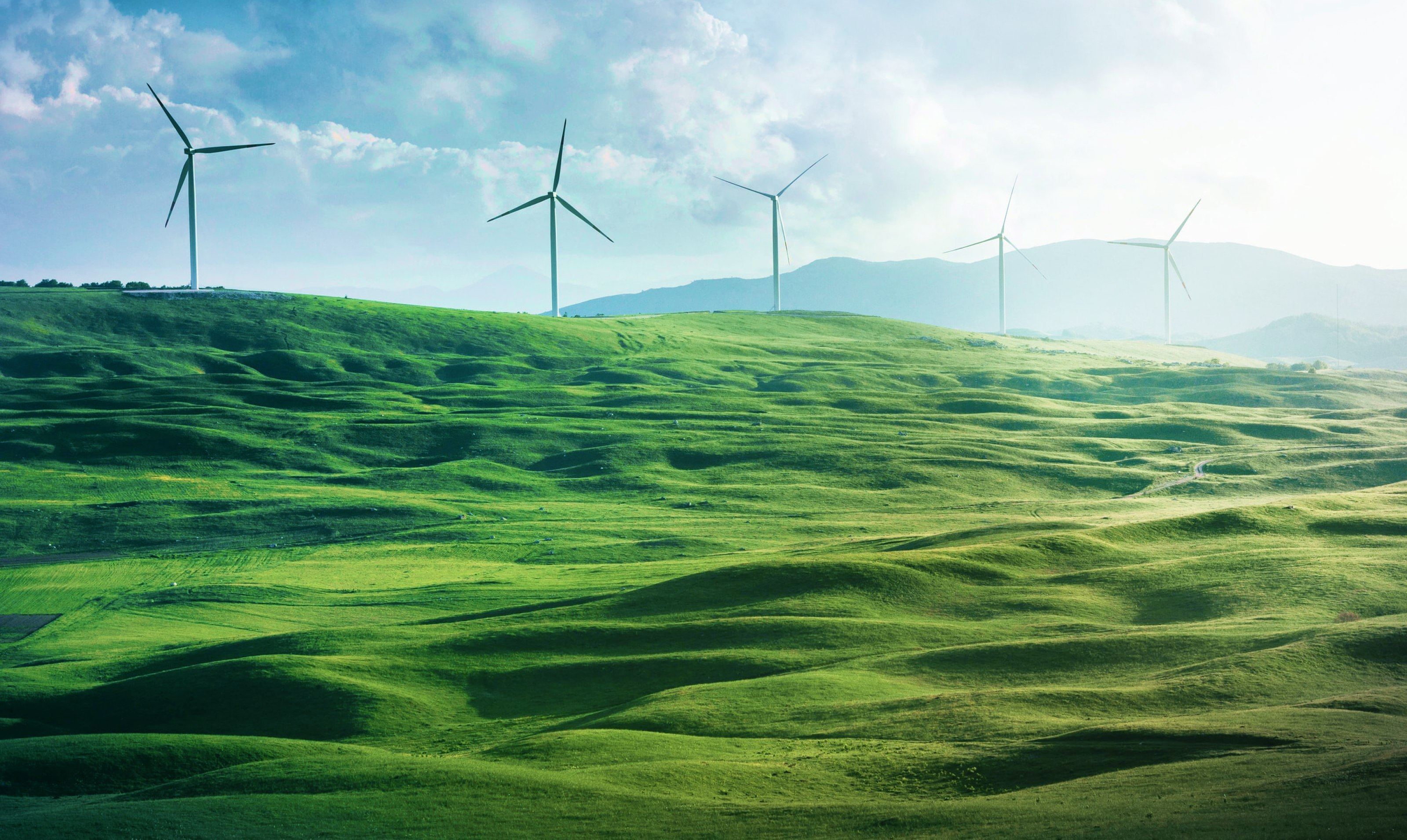 Green field with five wind turbines in the distance